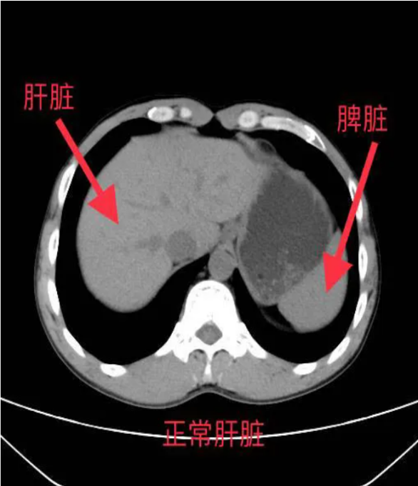 圖片1.png 圖片1.png