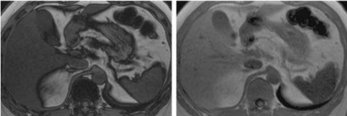 圖片3.png 圖片3.png