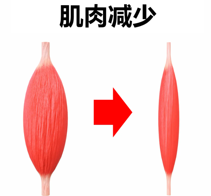 圖片1.png